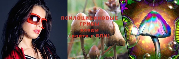 винт Белокуриха