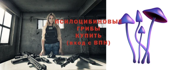 винт Белокуриха