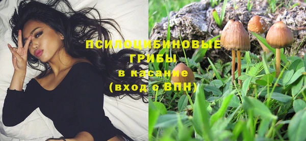 винт Белокуриха